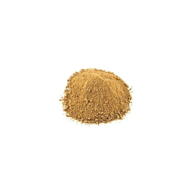 Buy Fresh Amchoor Powder 100Gm at Best Price