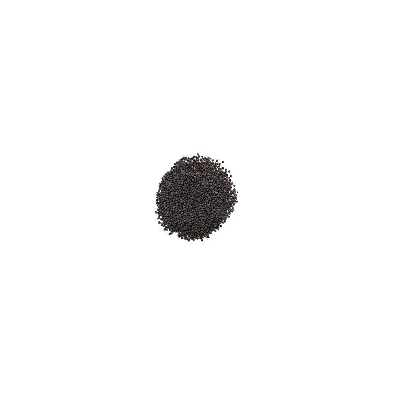 Buy Kali Sarso 100Gm Online at Best Price