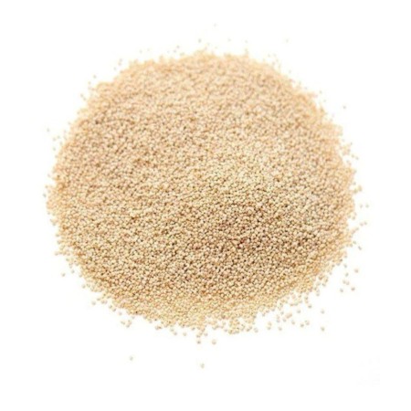Buy Khus Khus/Poppy Seeds 100Gm at Best Price