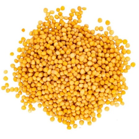 Yellow Mustard Seeds 100Gm | Fresh Pili Sarso