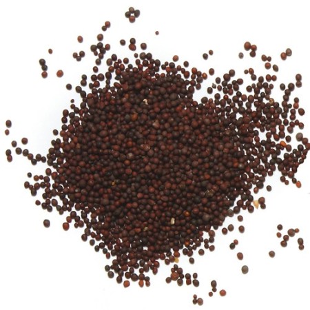 Rai Mustard Seeds 100Gm | Fresh & Affordable