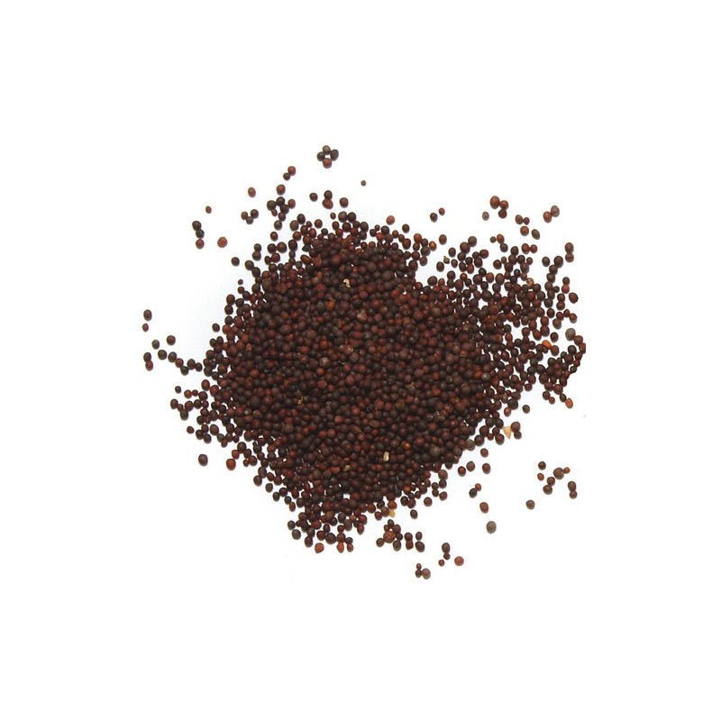 Rai Mustard Seeds 100Gm | Fresh & Affordable