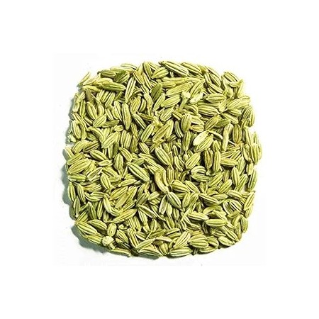 Saunf Moti 100Gm | Premium Big Fennel Seeds