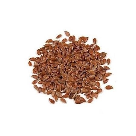 Flaxseeds 100G | Alsi Seeds for Family Nutrition